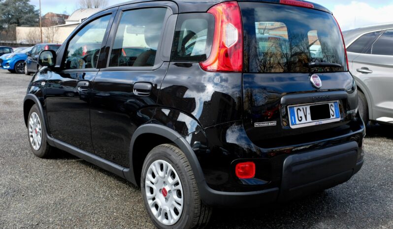 Fiat Panda 1.0 Firefly Hybrid S Ibrido Benzina pieno
