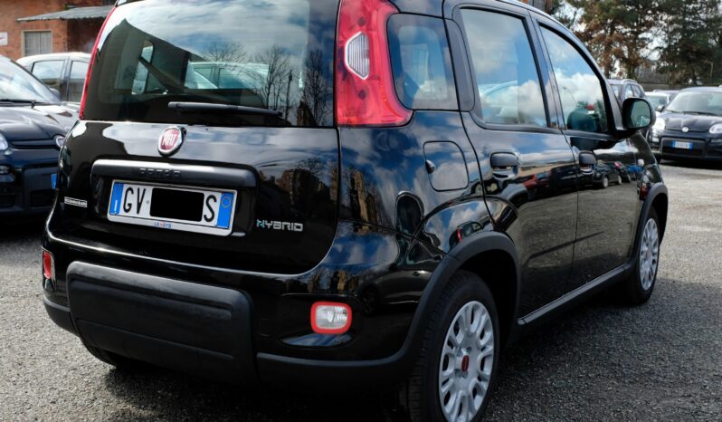 Fiat Panda 1.0 Firefly Hybrid S Ibrido Benzina pieno