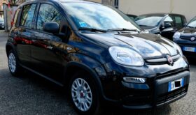 Fiat Panda 1.0 Firefly Hybrid S Ibrido Benzina